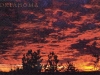 scan0004